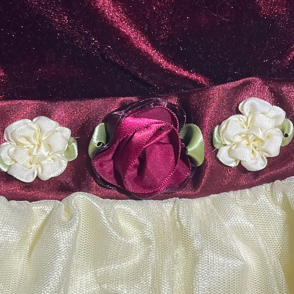 Girls 4T Velvet and Floral Embroidered Dress - Picture 6 of 6